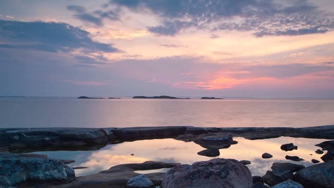 Academy students studying